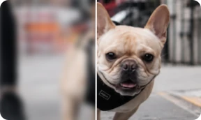 AI Image Enhancer